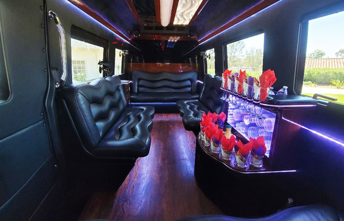 Mercedes Sprinter Limo Bus 2